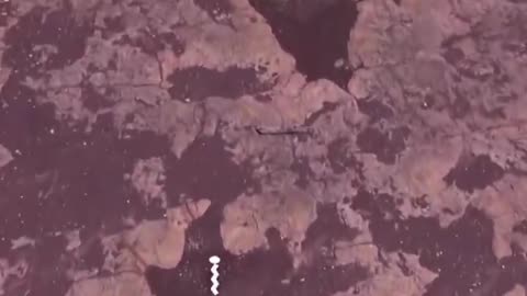 HispanTV @Nexo_Latino 🎥 En Bolivia, el Parque Nacional