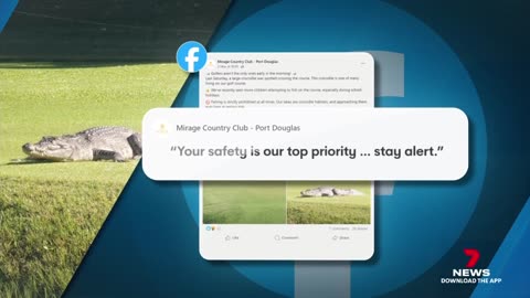 Golfers advised not to go hunting their lost golf balls - 7NEWS Australia