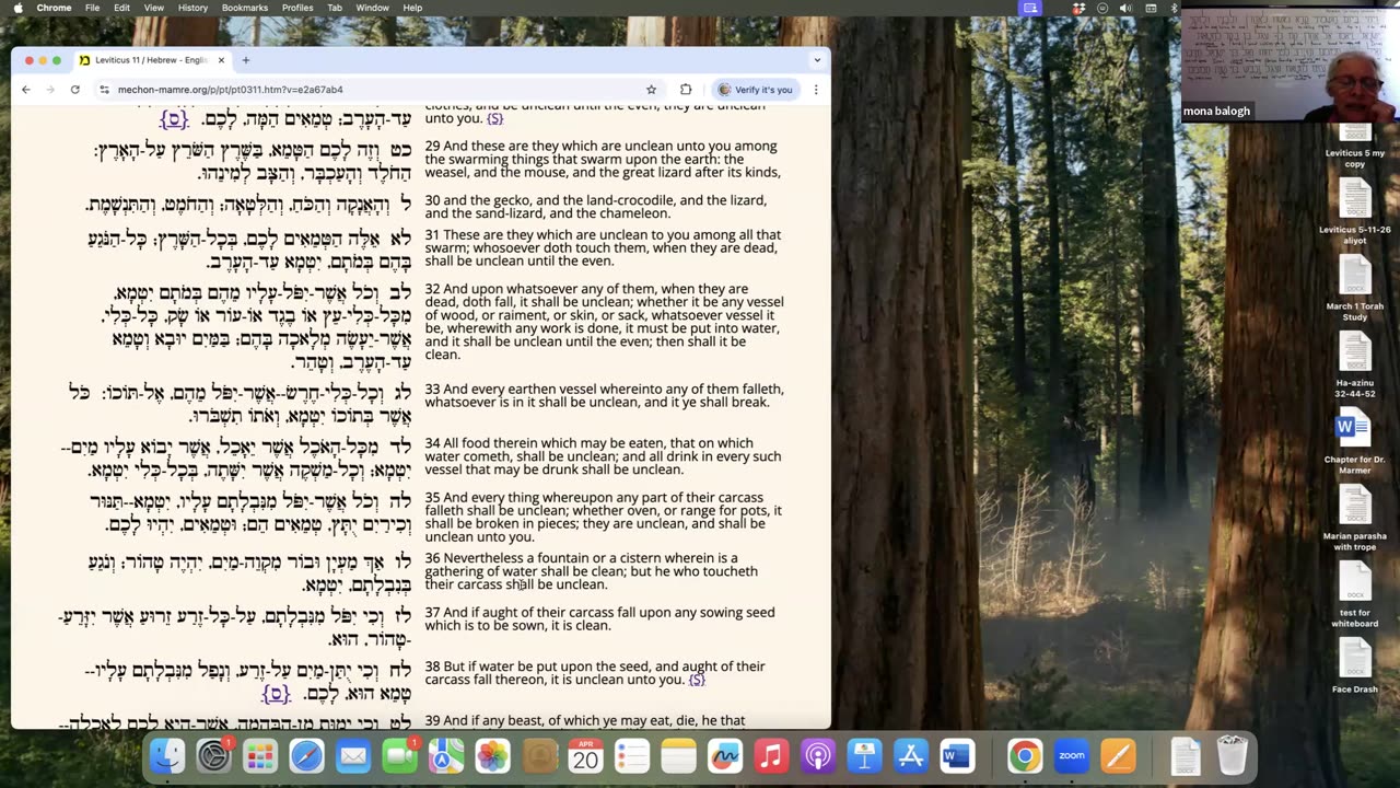 Parasha Sh'miyniy: Leviticus 9:1-11:47
