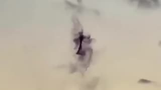 Helicopter dropping hundreds of millions genetically modified mosquitoes in Florida