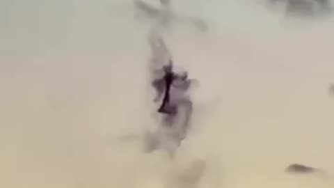 Helicopter dropping hundreds of millions genetically modified mosquitoes in Florida