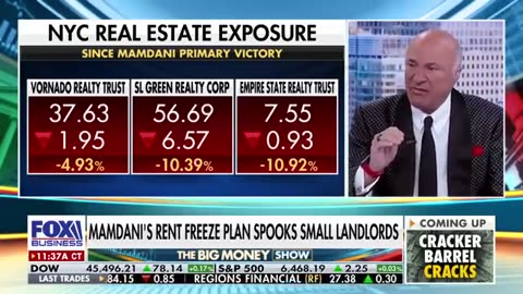 NYC landlords are cautioned by Kevin O'Leary not to allow Mamdani to become