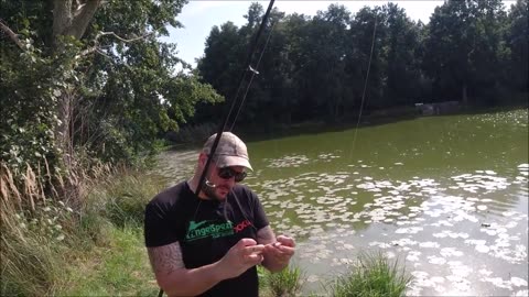 Angeln auf und mit Köderfisch #Hecht #Schleie