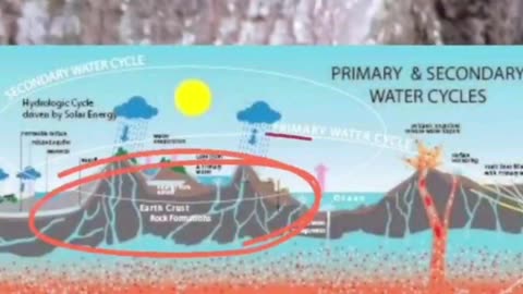 PETRIFIED WOOD AND TREES, THE THEORY IS CORRECT