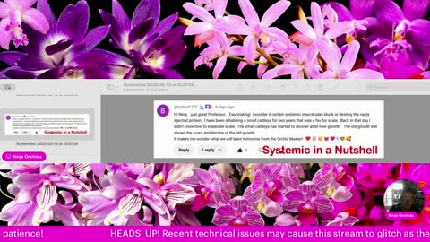 Monthly Q&A FAQ May 2025 Comments Review Orchid Related or Not Diverse Topics #ninjaorchids