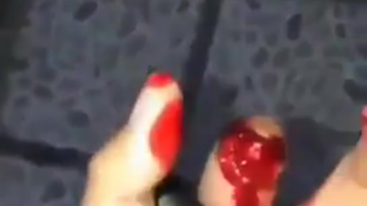 Don't mess with German Shepherds -spic woman