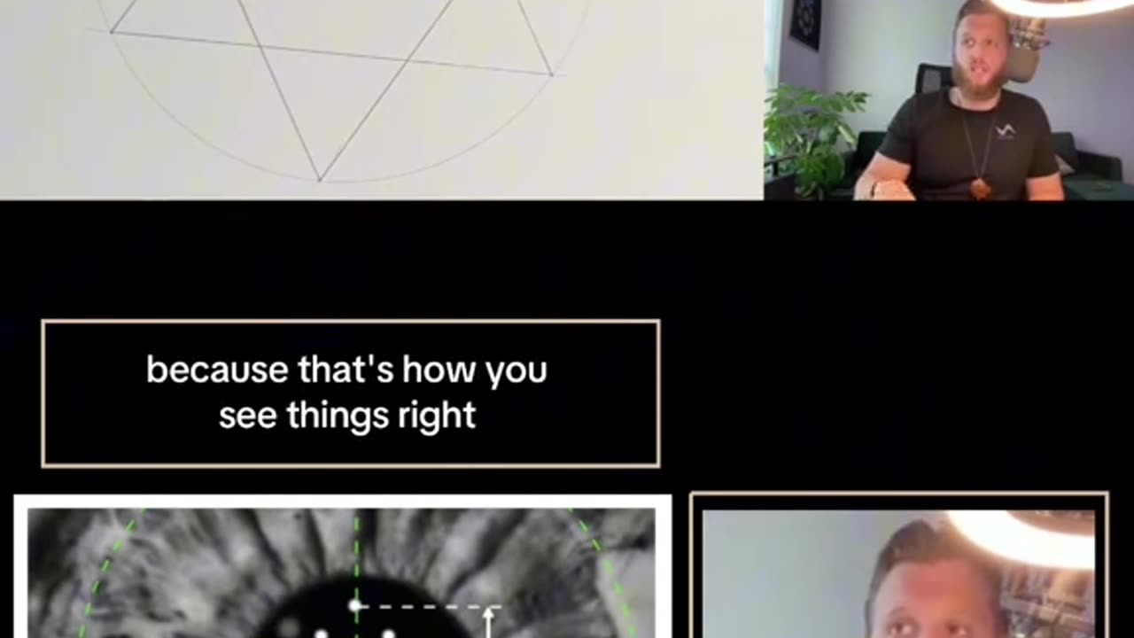 Simple Shapes Explain Perception at Any Scale