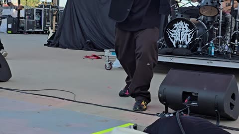 Extremely Non-Compliant Guy Gets Arrested at Limp Bizkit Show