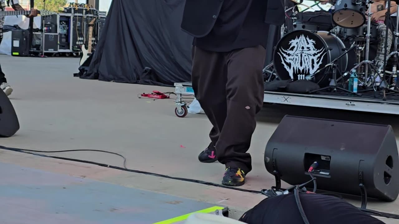 Extremely Non-Compliant Guy Gets Arrested at Limp Bizkit Show