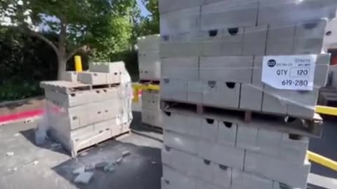 The Pallets - Just like 2020