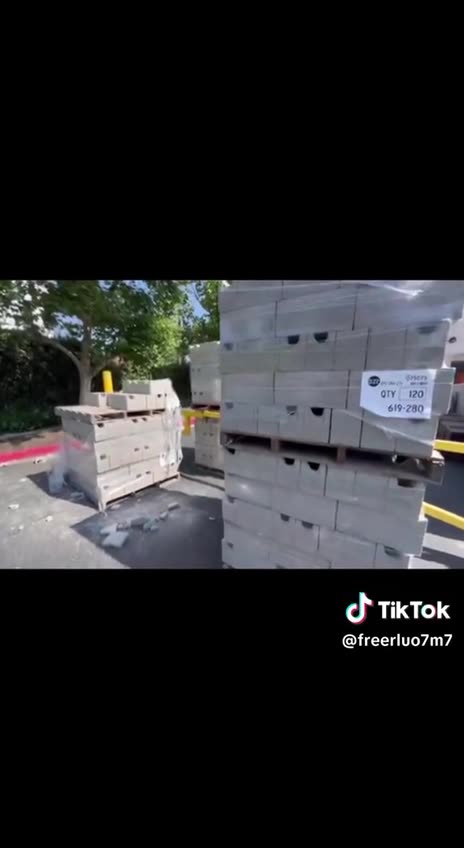 The Pallets - Just like 2020