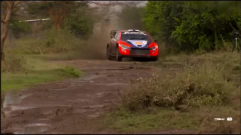 WRC 2024 Rally Carnage – Epic Fails & Insane Saves!