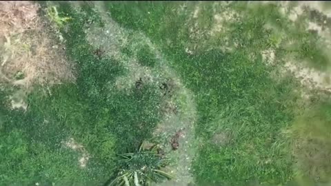 💥🛸 Myanmar Conflict | KIA Drone Strike with Mega Bomb on Junta Forces | RCF