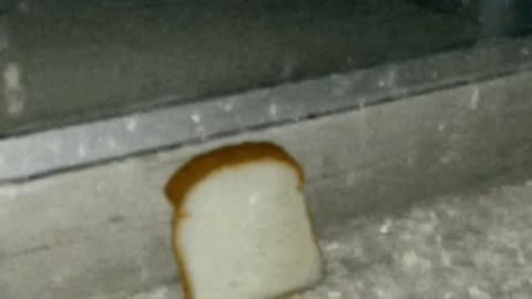 😂🍞 Emo Bread: The Most Cringeworthy Fail! | FunFM