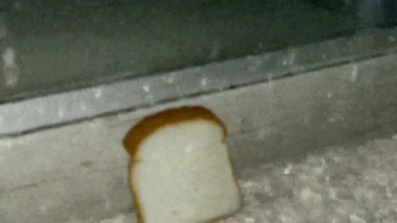 😂🍞 Emo Bread: The Most Cringeworthy Fail! | FunFM