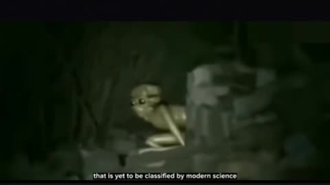 👽🤯 That Could Be an Alien Caught on Video! | TheHauntingHour