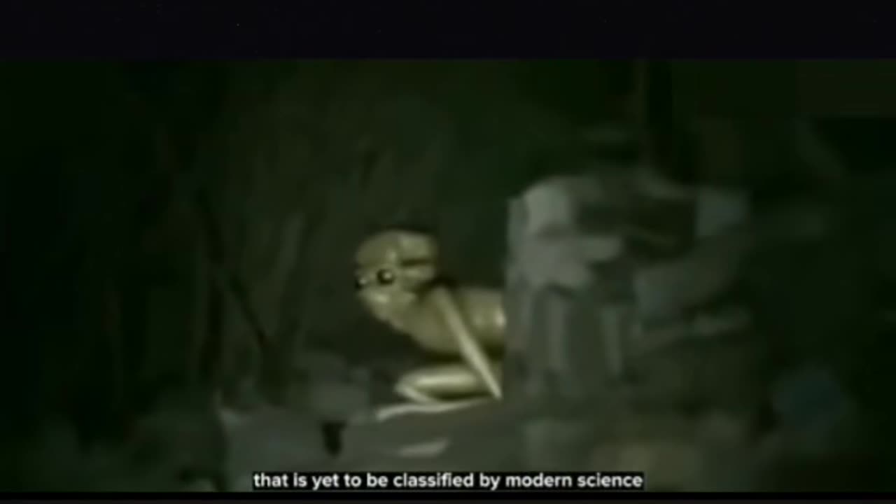 👽🤯 That Could Be an Alien Caught on Video! | TheHauntingHour