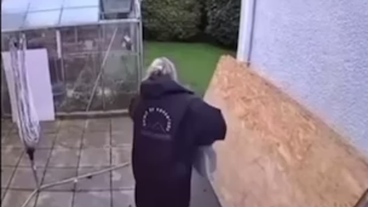 😂🐈 Cat's EPIC Reaction to Seeing Dog! | FunFM