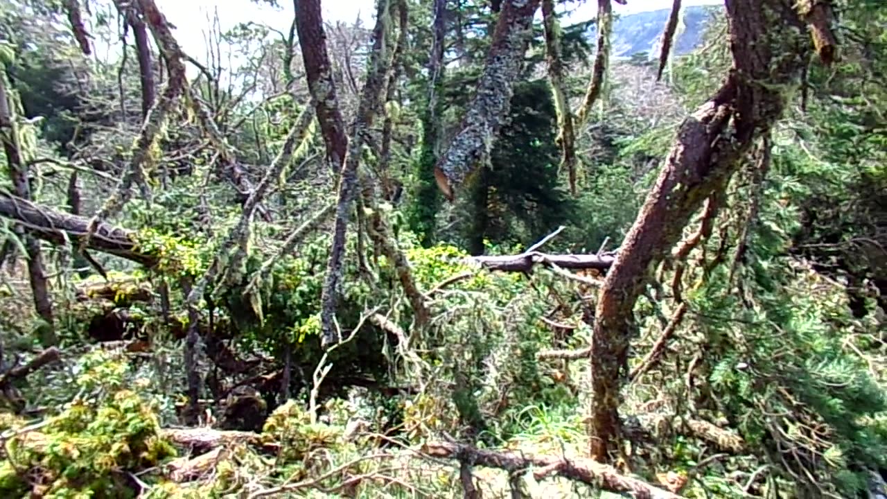 The last big storm we had 3/29/25: