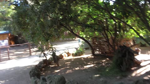 Lagos Zoo (Algarve, Portugal) 7