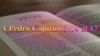 Estudio,1 Pedro 3 : 14 al 17