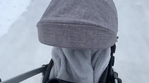 Ice Skating With a Baby Stroller