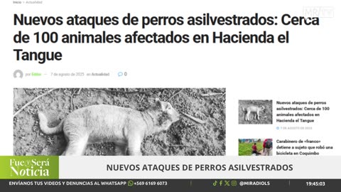 FUE Y SERÁ NOTICIA 07/08/2025
