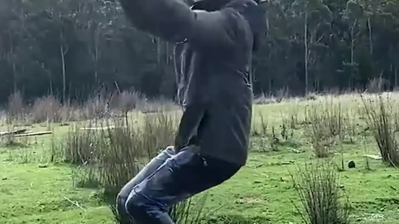 Real life vs AI video
