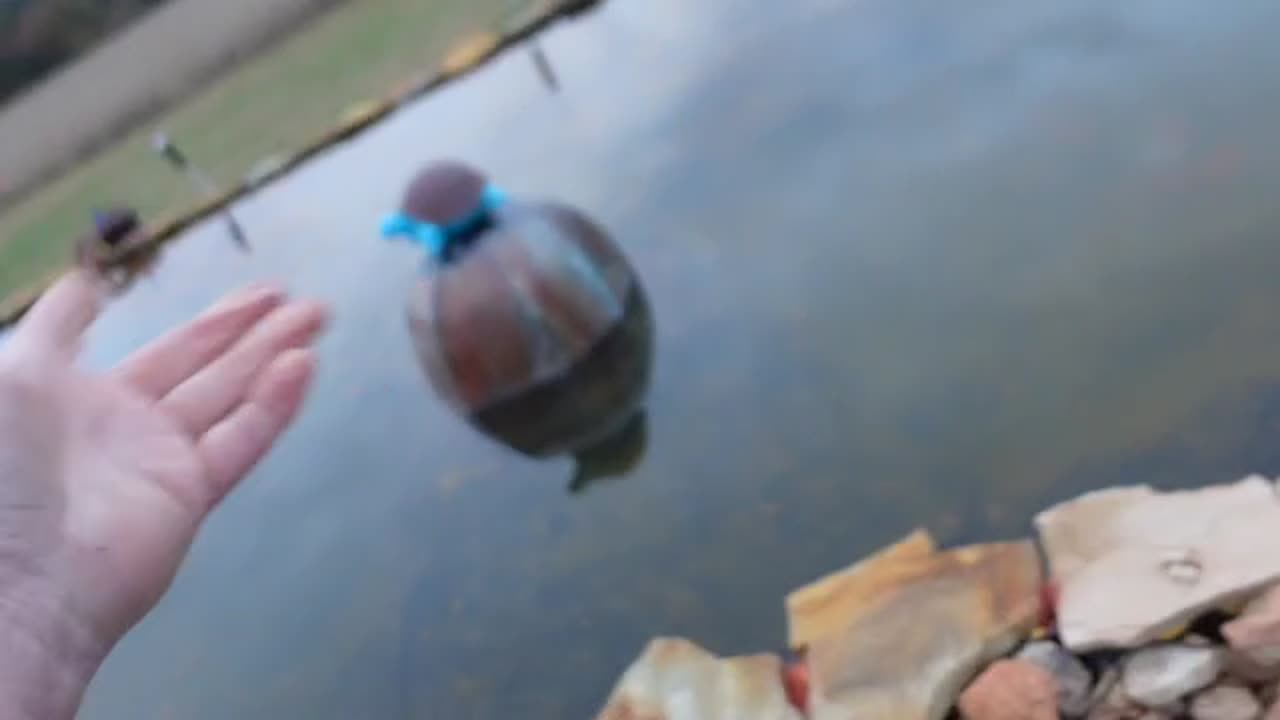 Remove Pond Scum Without Chems With The Formally Known as Mouse Sucker 1000 To The Scum Sucker 3000.