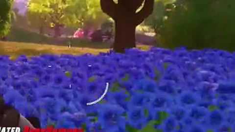 Can’t touch this lol