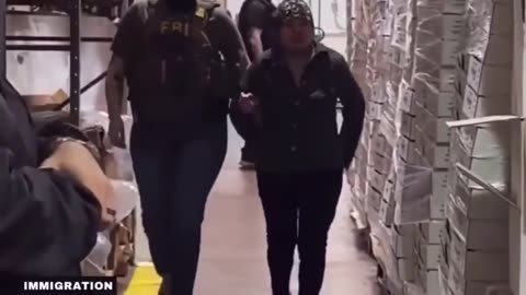 Meatpacking plant loses 80% of employees in ICE raid