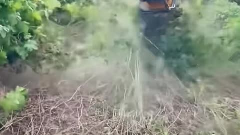 👍🤯 10-Second Hack That Will Blow Your Mind! | LifeHacksDaily