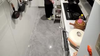 The best helper around the house!.hd