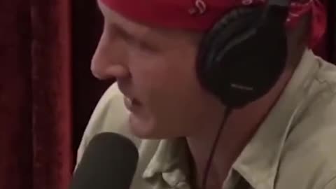 This Insane Cliffside Honey Hunt Will Leave You Speechless - Joe Rogan Podcast