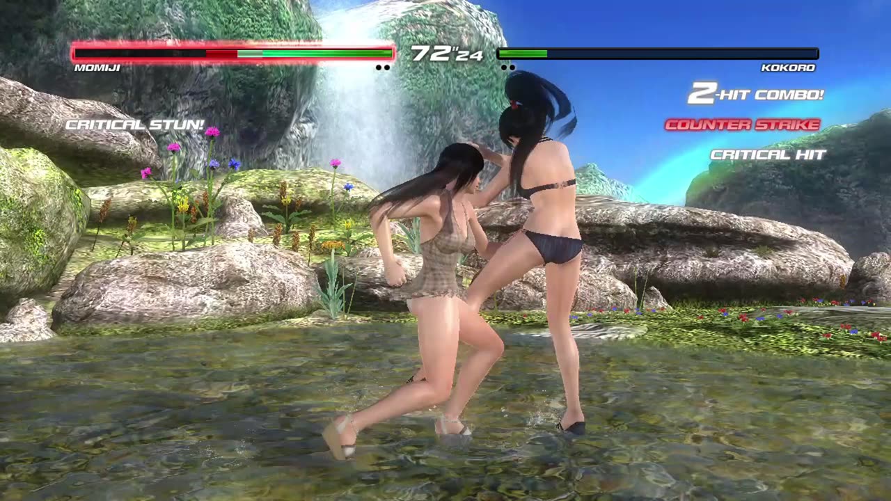 Momiji vs Kokoro