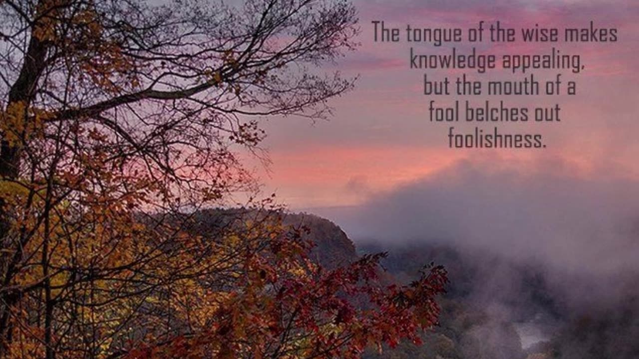 Prayer to use our tongue Wisely #youtubeshorts #grace #jesus #mercy #faith #fyp #trust #joy #blessed