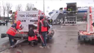 Giant pandas Huan Huan and Yuan Zi leave France and return to China, arriving in 2012