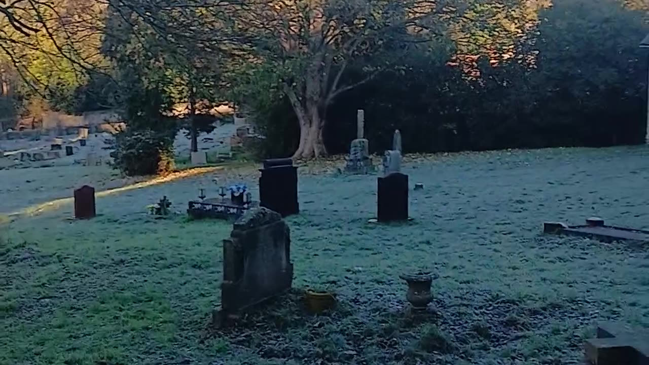 This dog toilet is so beautiful in frost