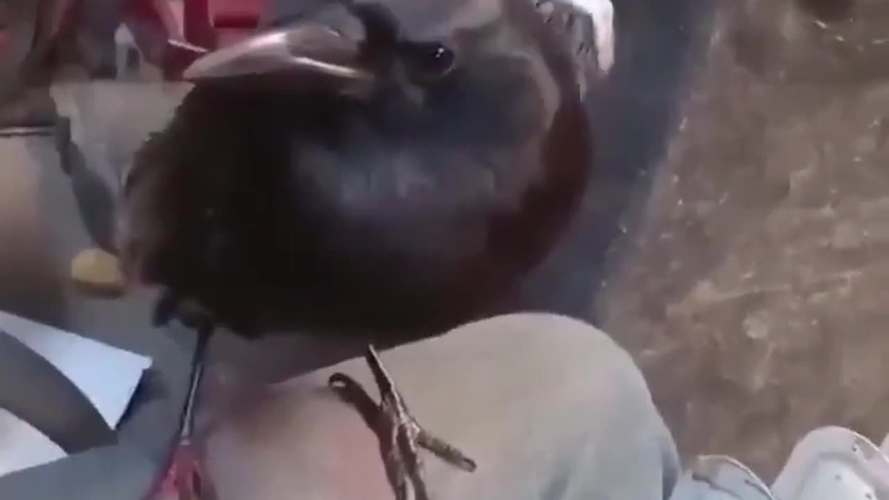 😂🦷 He Thought No One Was Watching... | FunFM