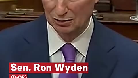 Democrat Reveals 4,725 Epstein Wire Transfers