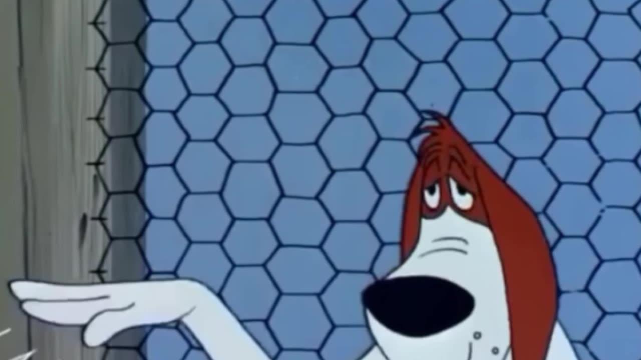 funny funny videos funny jokes funny animals funny memes funny movies funny bone funny pictures