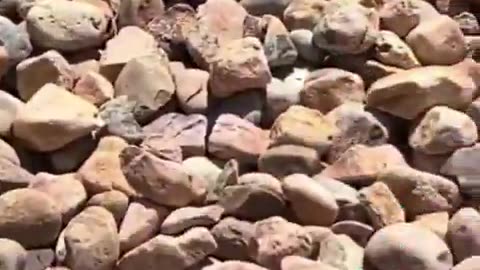 Almost 15 minutes of Charlie throughout his life