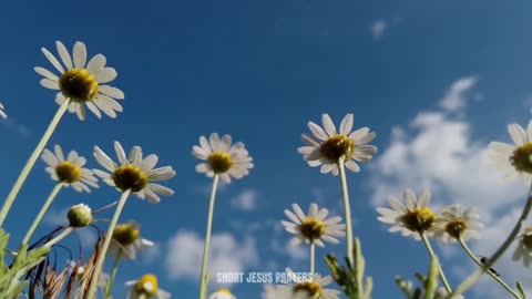 A Simple Prayer To Thank God For Everything - Lord God, Today, we lift our voices in a simple...