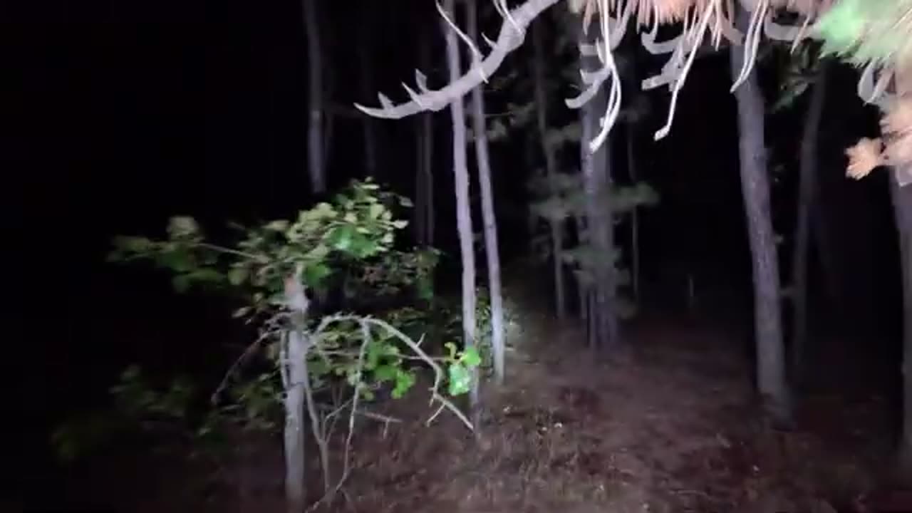 Eyewitness's SHOCKING WARNING: The Deadly Secrets of Living OFF THE GRID!