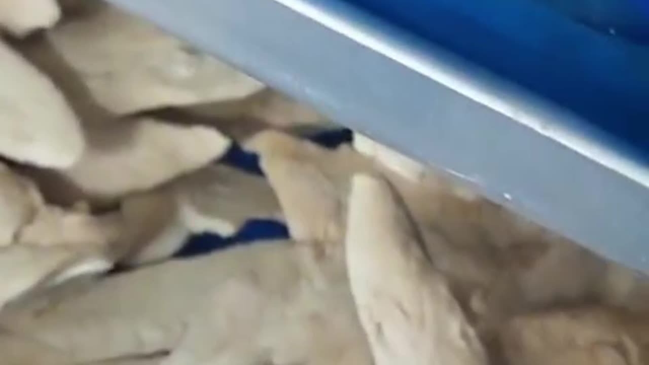 intelligent freeze dryer