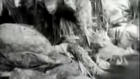 Commercial - Coca Cola w Emmett Kelly