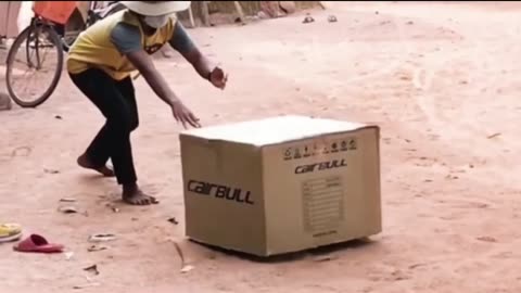 Box driving Dog's comedy Videos 😀 so cute videos 😍 funny videos 🤣