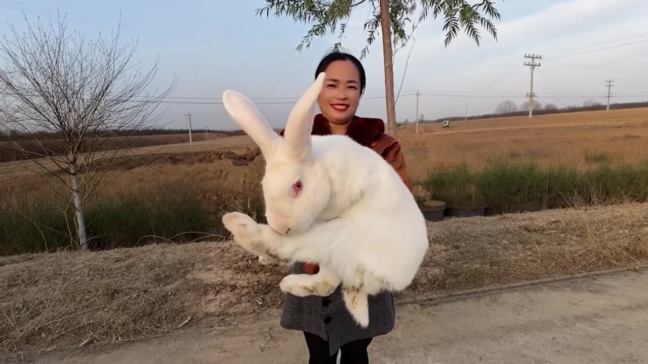 Before & After Animals Growing Up. Incredible Animal Transformations