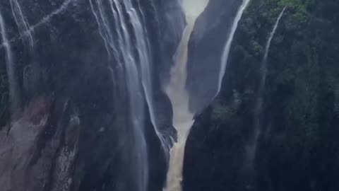 Nature lover