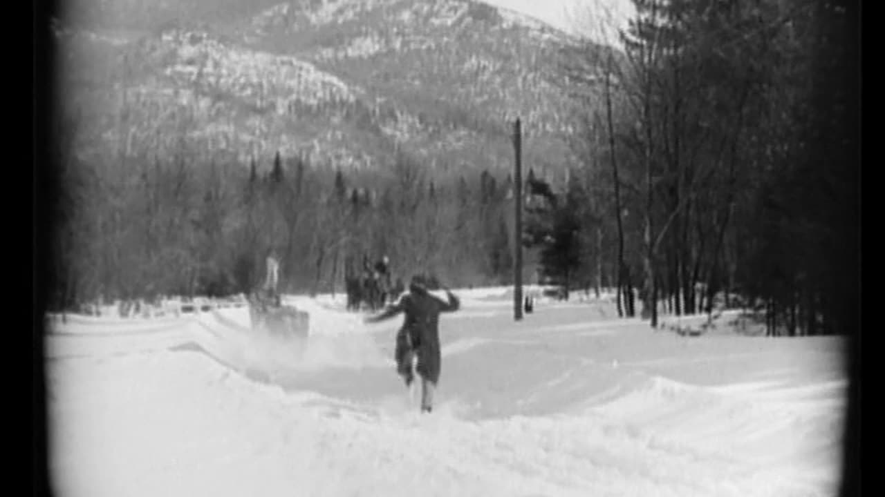 The Flapper (1920)